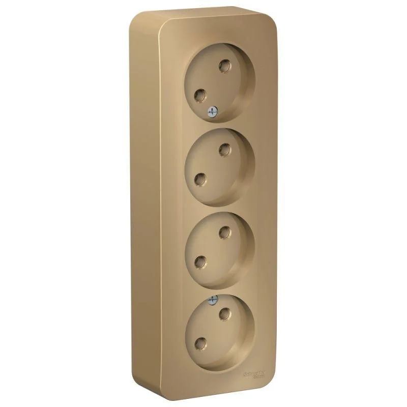 Розетка 4-м ОП Blanca 16А IP20 250В без заземления без защ. шторок с изолир. пластиной титан SE BLNRA000414