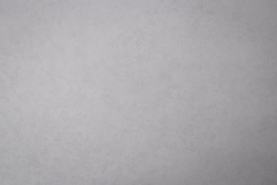 Обои Palitra Family арт.FM72540-41 виниловые горячего тиснения на флизелиновой основе 1,06*10м Levia фон