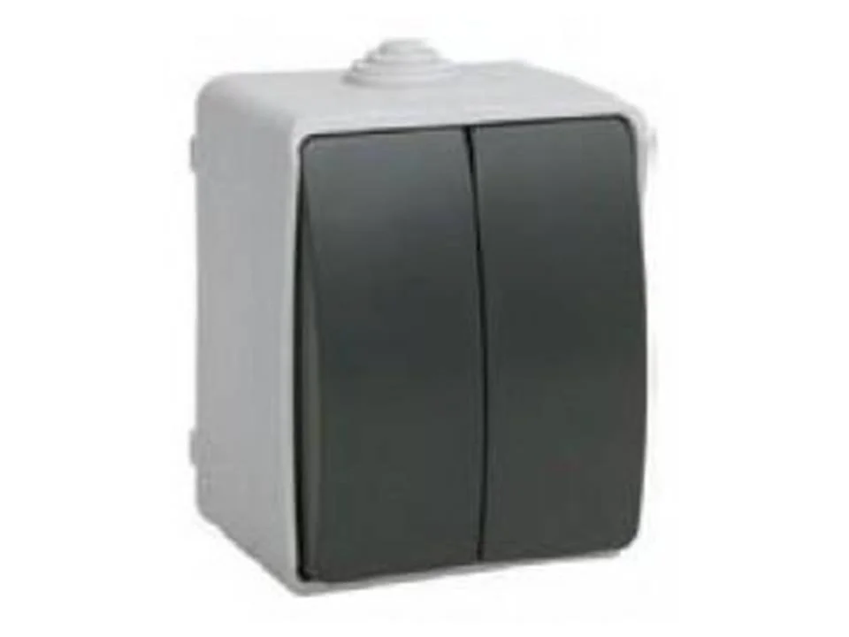Выключатель двухклавишный ОП Форс 10А 250А IP54 ВС20-2-0-ФСр IEK EVS20-K03-10-54-DC