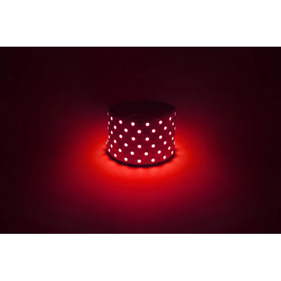 Лента светодиодная ЭРА LS5050-14,4-60-12-R-IP20-1 year-5m красный