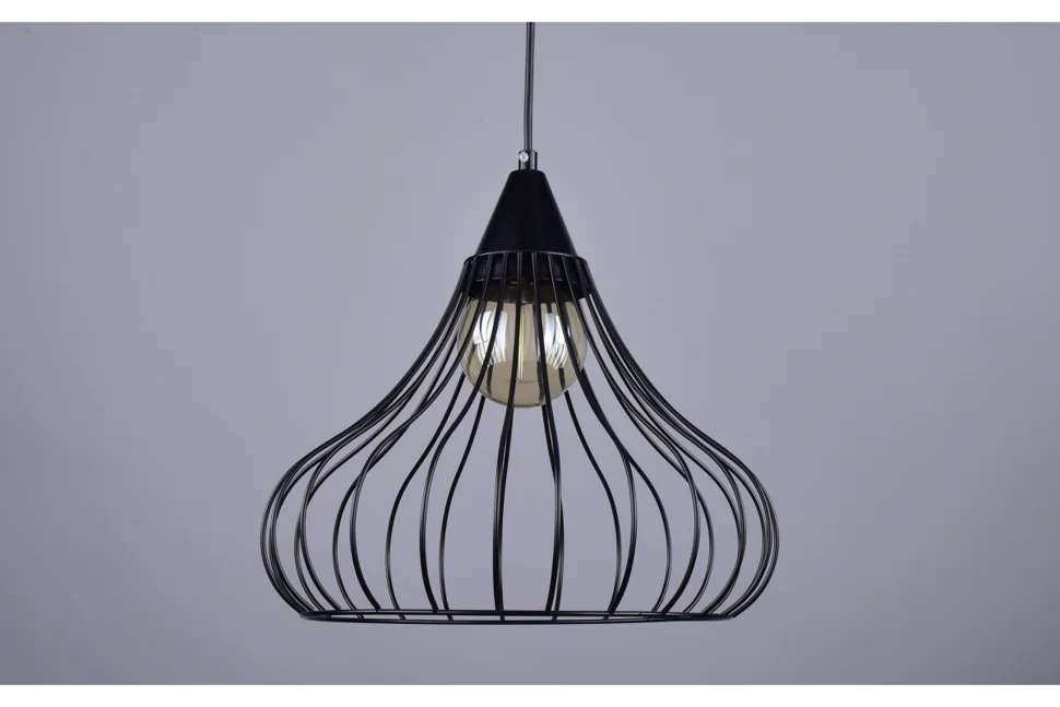 Светильник "Версия" РС21067 BK/1P