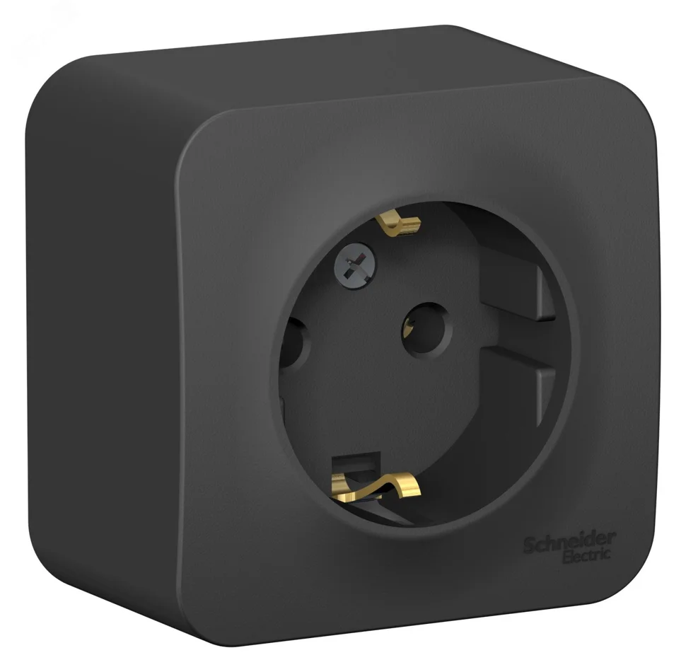 Розетка 1-м ОП Blanca 16А IP20 250В с заземлением без защ. шторок с изолир. пластиной антрацит SE BLNRA010116
