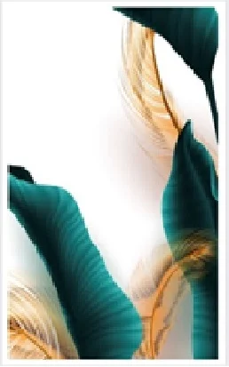 Набор ковриков для ванной ZALEL decorative цифровая печать с бахромой deco 15 (60*100, 40*60) прямоугольные (2 шт)