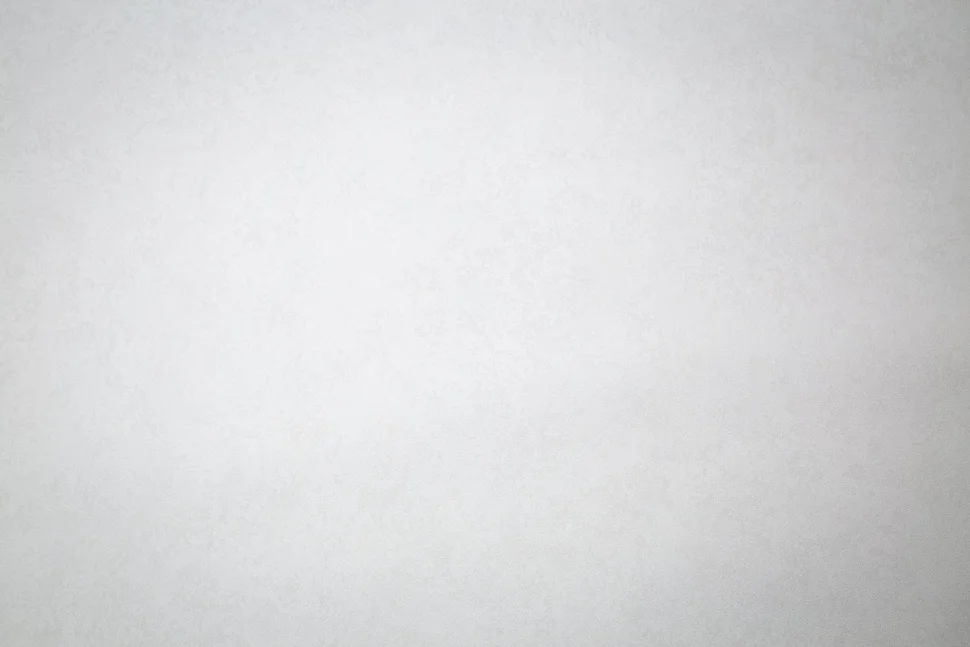 Обои Palitra Family арт.FM72540-11 виниловые горячего тиснения на флизелиновой основе 1,06*10м Levia фон