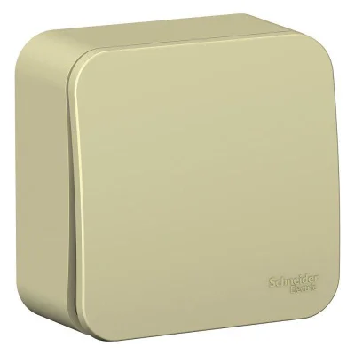 Выключатель одноклавишный ОП Blanca 10А IP20 (сх. 1) 250В с изолир. пластиной беж. SE BLNVA101017 SE