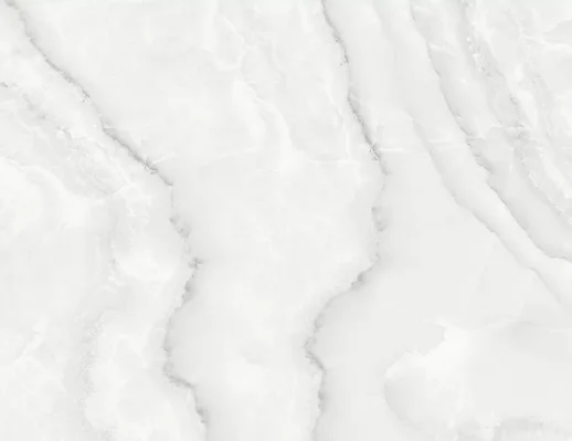 Керамогранит ABSOLUT GRES Silver Onix 600x600 gloss