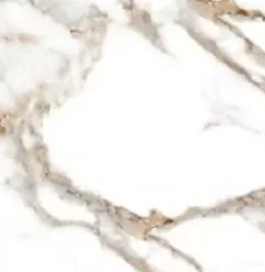 Керамогранит ABSOLUT GRES Oro Bianco 600x600 gloss
