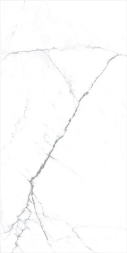 Керамогранит GLOBAL TILE Premium Olivia_PGT Белый матовый 60x120 арт.PGT120609403MGR