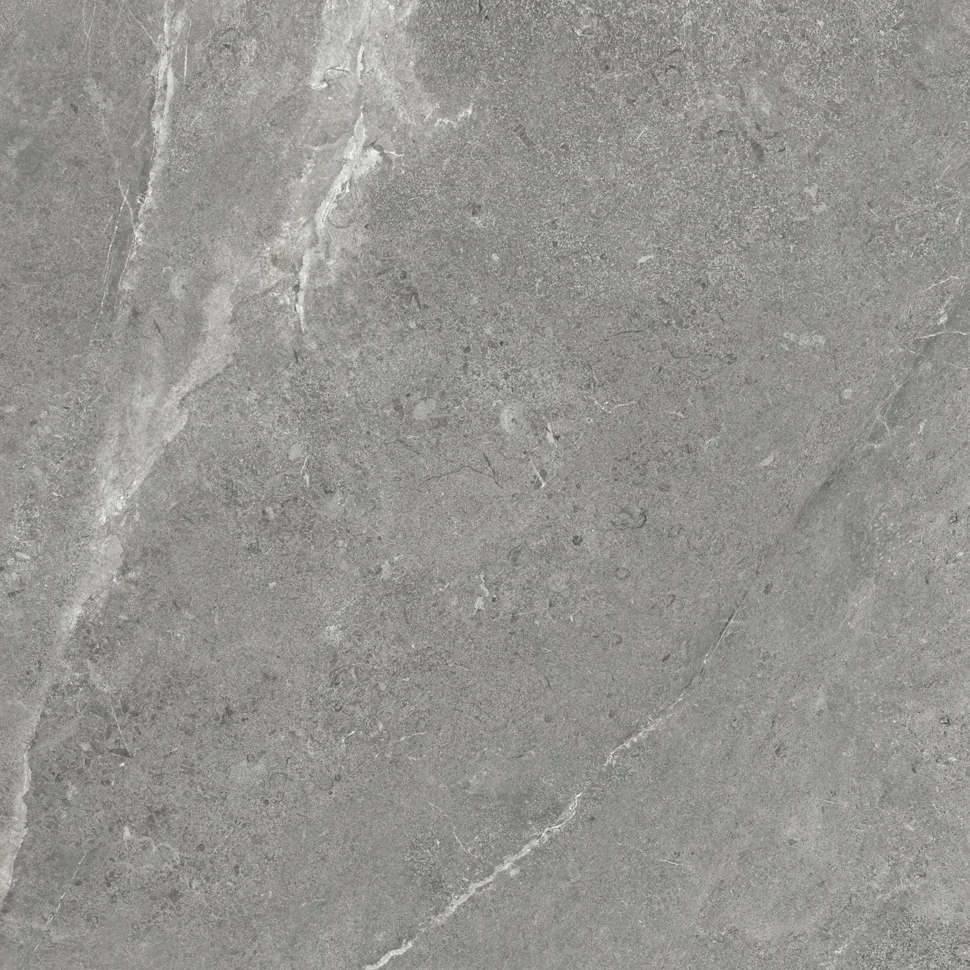 Керамогранит DELACORA Titanium Gris матовый 600*600*9,5 арт.GP6060TIA05M