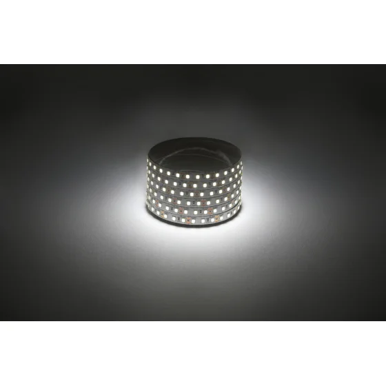 Лента светодиодная ЭРА 2835-120-4000K-12-9,6-8-IP20-1 year дневной белый